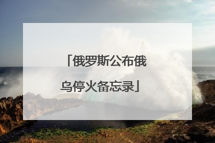俄罗斯公布俄乌停火备忘录