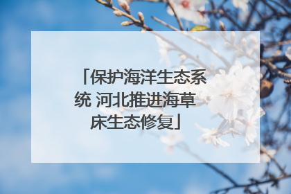 保护海洋生态系统 河北推进海草床生态修复