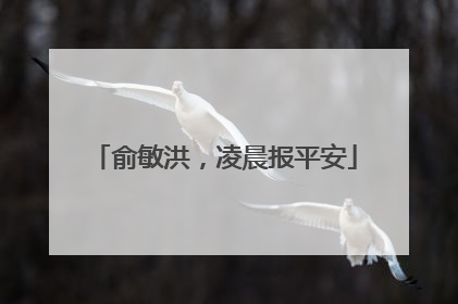俞敏洪，凌晨报平安
