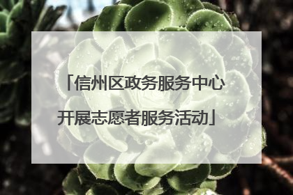 信州区政务服务中心开展志愿者服务活动