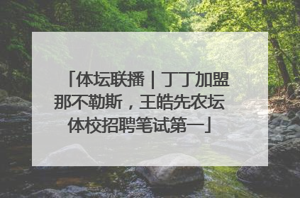 体坛联播｜丁丁加盟那不勒斯，王皓先农坛体校招聘笔试第一