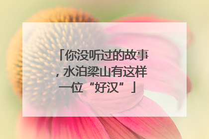 你没听过的故事，水泊梁山有这样一位“好汉”