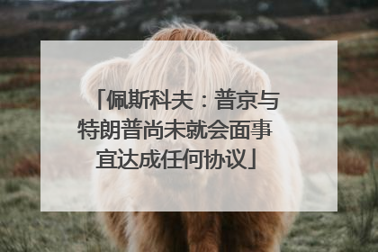 佩斯科夫：普京与特朗普尚未就会面事宜达成任何协议