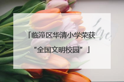 临潼区华清小学荣获“全国文明校园”