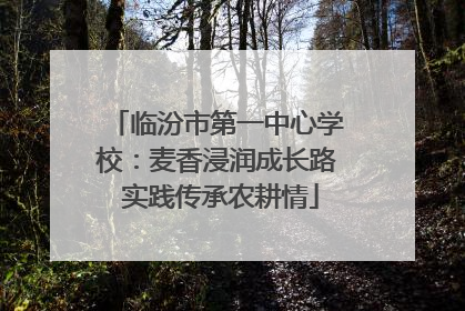 临汾市第一中心学校：麦香浸润成长路 实践传承农耕情