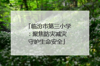 临汾市第三小学：聚焦防灾减灾 守护生命安全