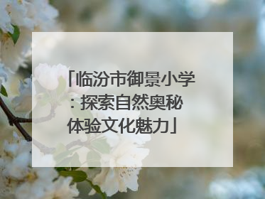 临汾市御景小学：探索自然奥秘 体验文化魅力