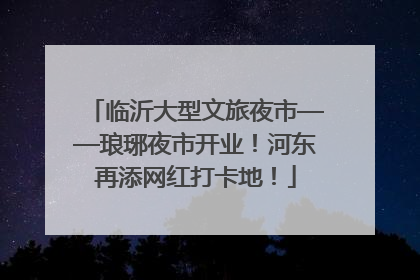 临沂大型文旅夜市——琅琊夜市开业！河东再添网红打卡地！