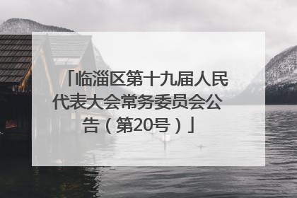 临淄区第十九届人民代表大会常务委员会公告（第20号）
