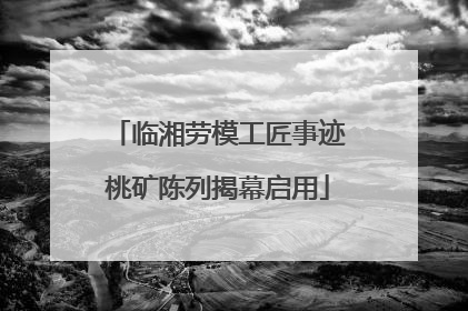 临湘劳模工匠事迹桃矿陈列揭幕启用