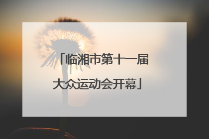 临湘市第十一届大众运动会开幕