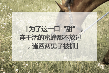 为了这一口“甜”，连干活的蜜蜂都不放过，诸暨两男子被抓