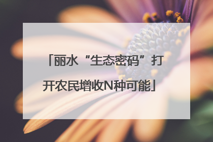丽水“生态密码”打开农民增收N种可能