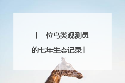 一位鸟类观测员的七年生态记录