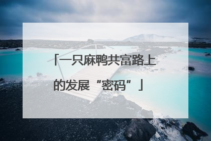 一只麻鸭共富路上的发展“密码”