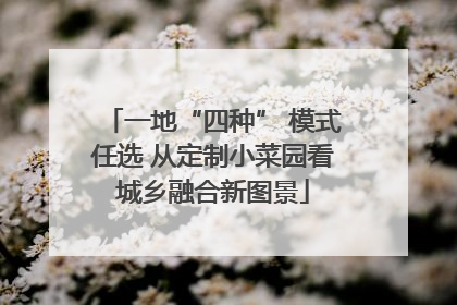 一地“四种” 模式任选 从定制小菜园看城乡融合新图景