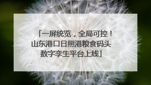 一屏统览，全局可控！山东港口日照港粮食码头数字孪生平台上线