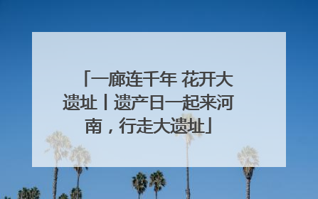 一廊连千年 花开大遗址丨遗产日一起来河南，行走大遗址