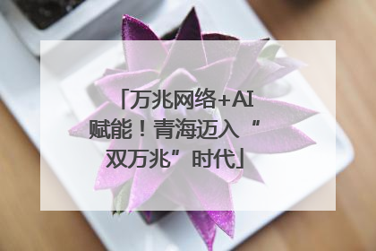 万兆网络+AI赋能！青海迈入“双万兆”时代