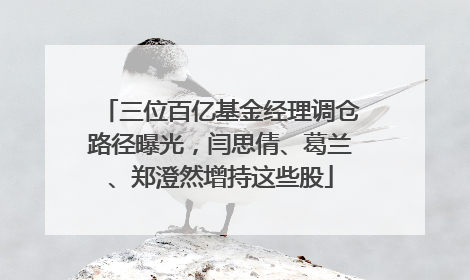 三位百亿基金经理调仓路径曝光，闫思倩、葛兰、郑澄然增持这些股