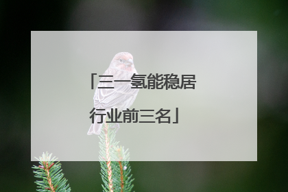 三一氢能稳居行业前三名