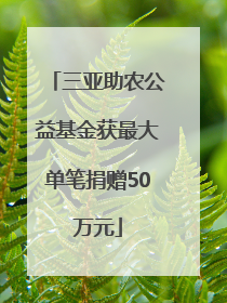 三亚助农公益基金获最大单笔捐赠50万元