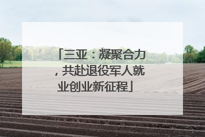 三亚：凝聚合力，共赴退役军人就业创业新征程