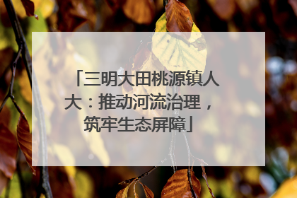 三明大田桃源镇人大：推动河流治理，筑牢生态屏障
