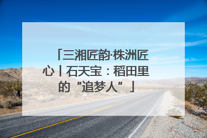 三湘匠韵·株洲匠心丨石天宝：稻田里的“追梦人”