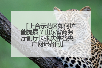上合示范区如何扩能提质？山东省商务厅副厅长张庆伟答央广网记者问