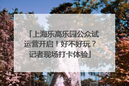 上海乐高乐园公众试运营开启！好不好玩？记者现场打卡体验