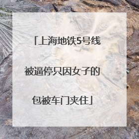 上海地铁5号线被逼停只因女子的包被车门夹住