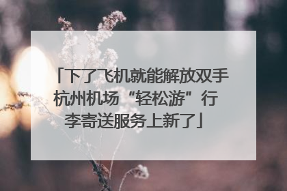 下了飞机就能解放双手 杭州机场“轻松游”行李寄送服务上新了