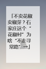 不卖花椒卖椒芽？石家庄这个“花椒村”为啥“不走寻常路”→