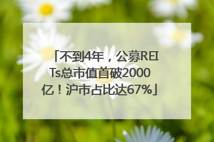 不到4年，公募REITs总市值首破2000亿！沪市占比达67%
