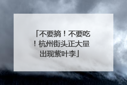 不要摘！不要吃！杭州街头正大量出现紫叶李