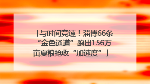 与时间竞速！淄博66条“金色通道”跑出156万亩夏粮抢收“加速度”