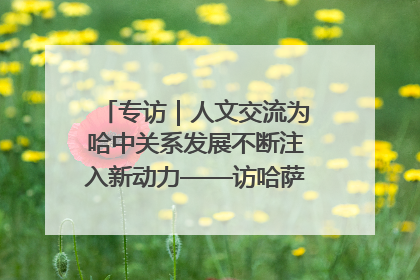 专访｜人文交流为哈中关系发展不断注入新动力——访哈萨克斯坦文化与信息部部长巴拉耶娃