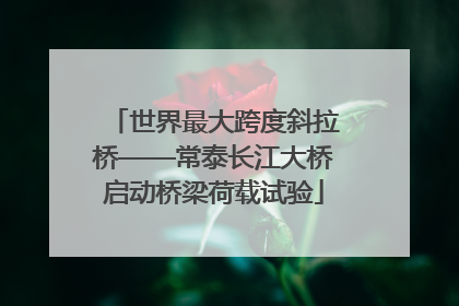 世界最大跨度斜拉桥——常泰长江大桥启动桥梁荷载试验