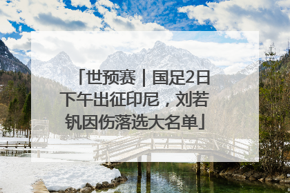 世预赛｜国足2日下午出征印尼，刘若钒因伤落选大名单