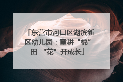 东营市河口区湖滨新区幼儿园：童耕“棉”田 “花”开成长