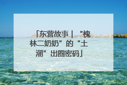 东营故事｜“槐林二奶奶”的“土潮”出圈密码