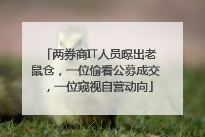 两券商IT人员曝出老鼠仓，一位偷看公募成交，一位窥视自营动向