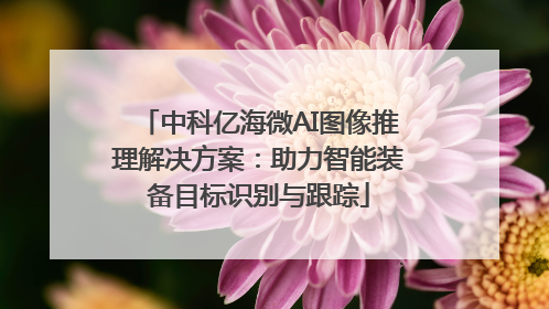 中科亿海微AI图像推理解决方案：助力智能装备目标识别与跟踪