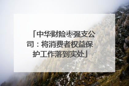 中华财险枣强支公司：将消费者权益保护工作落到实处