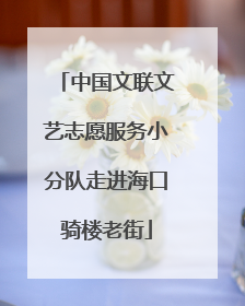 中国文联文艺志愿服务小分队走进海口骑楼老街