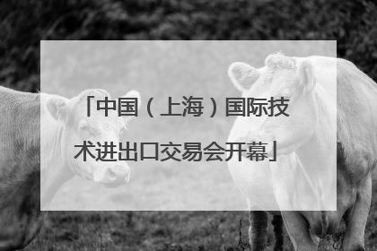中国（上海）国际技术进出口交易会开幕