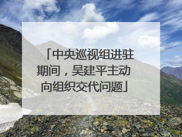 中央巡视组进驻期间，吴建平主动向组织交代问题