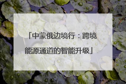 中蒙俄边境行：跨境能源通道的智能升级