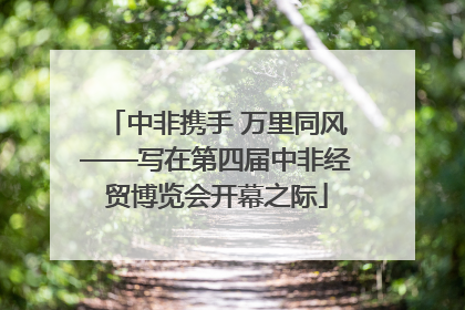 中非携手 万里同风——写在第四届中非经贸博览会开幕之际